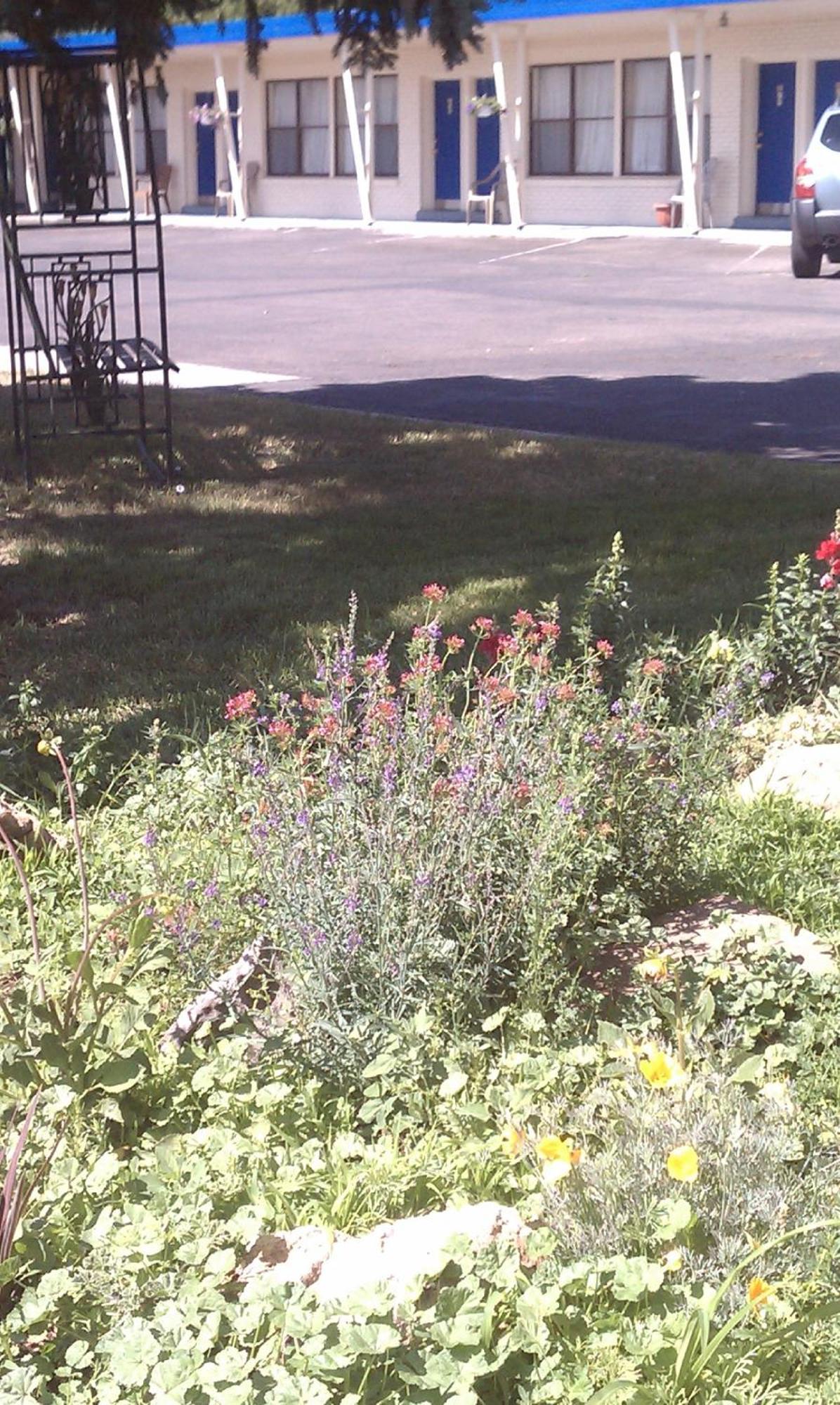 The Monticello Inn מראה חיצוני תמונה